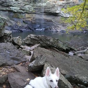 Meet your Posher, Toni